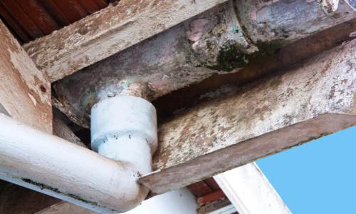 asbestos-management About us