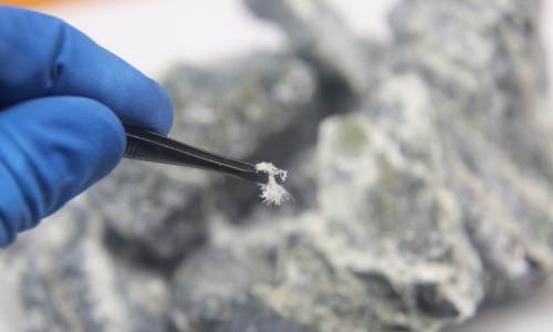 asbestos-reinspection About us