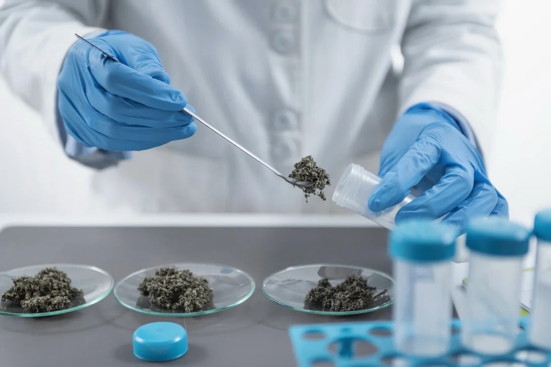 asbestos365-2-min Testing & Bulk Analysis