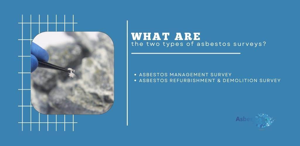 types of asbestos survey