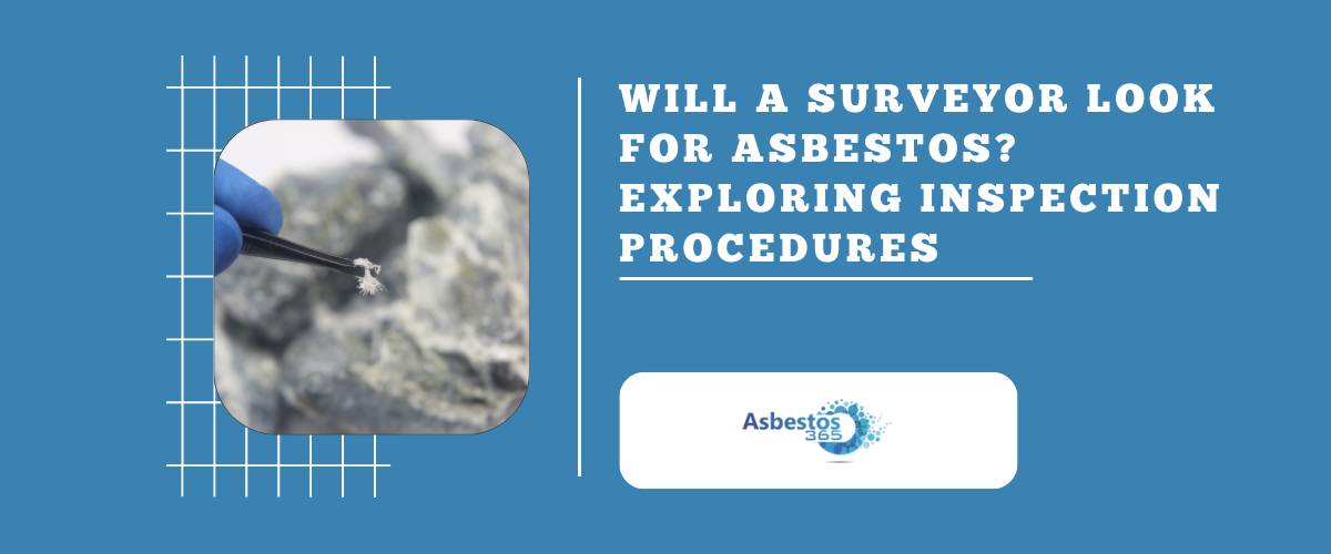 Will a Surveyor Look for Asbestos? Exploring Inspection Procedures