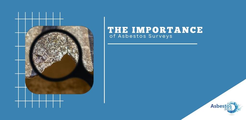 The Importance of Asbestos Surveys
